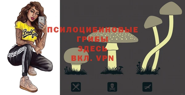дмт Вязники