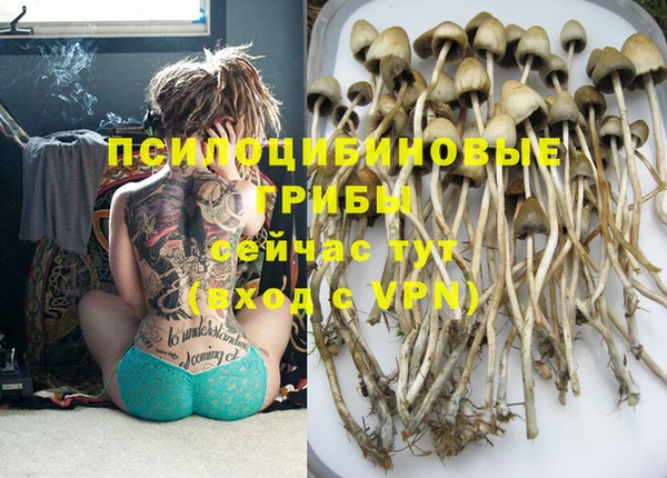шишки Вяземский