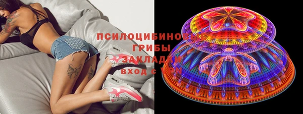 шишки Вяземский